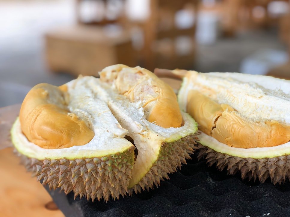 Frucht Durian