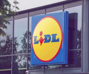 Die Kratzbank von Lidl, die bei allen Katzen-Fans im Wohnzimmer steht