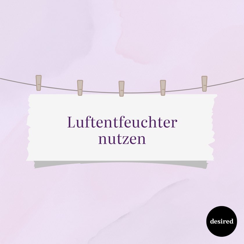 Luftentfeuchter nutzen