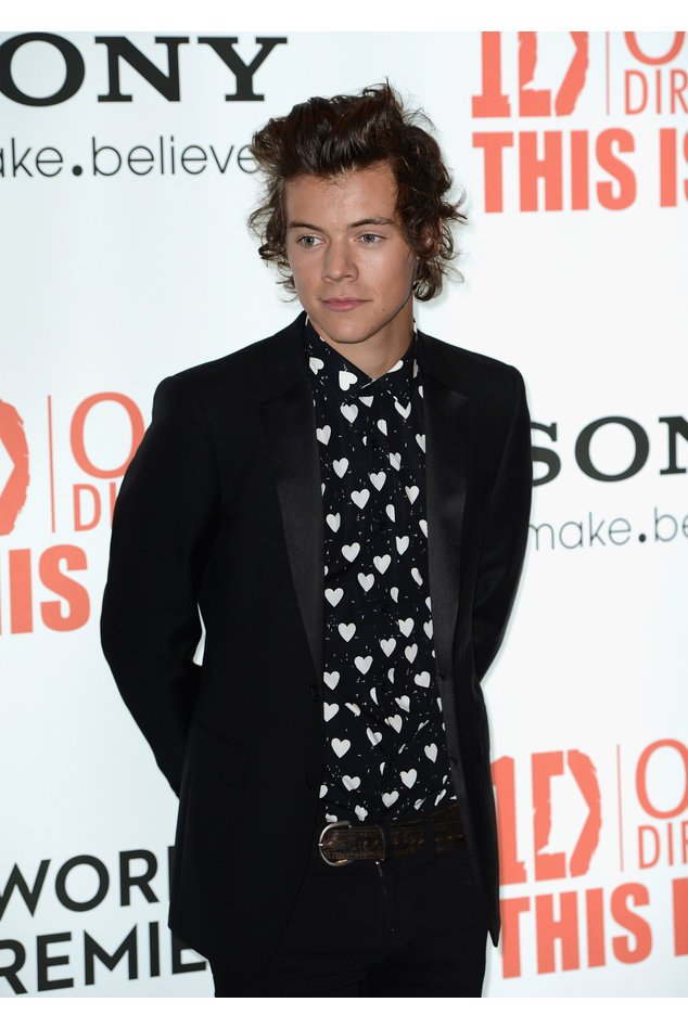 Harry Styles bei einem Festival Harry Styles bei einem Festival