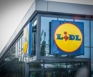 Lidls 4er-Set Solar-Leuchten bringt magisches Leuchten in deine Außenoase