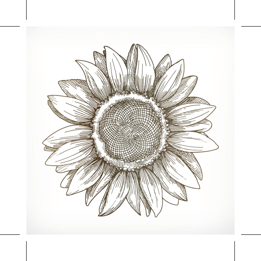 Sonnenblumen-Tattoo Vorlage 9