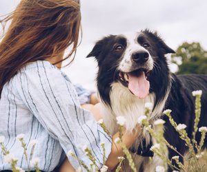 Für Tierliebhaber: Dieses Eichhörnchen-Spielzeug von Amazon wird deinen Hund begeistern