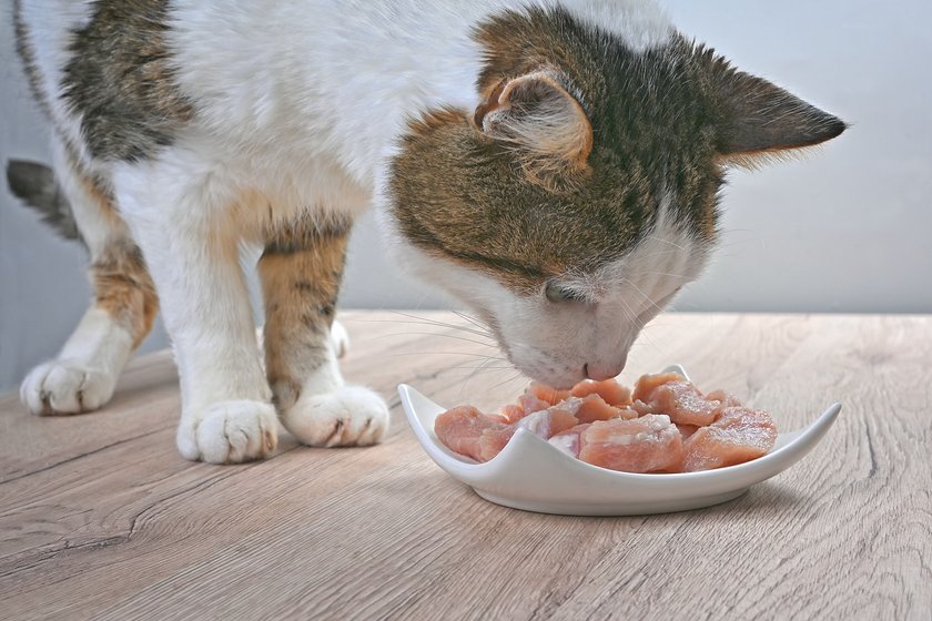 Eine Katze steht auf dem Tisch und riecht am Fleisch.