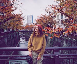 Für 4 Tierkreiszeichen beginnt mit dem Herbst ein Neuanfang