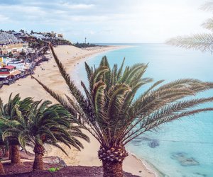 Gibt es auf Fuerteventura Haie? Das sollten Touristen wissen