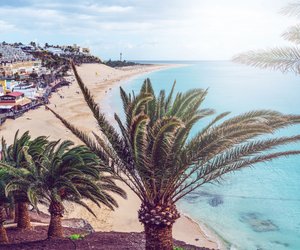 Gibt es auf Fuerteventura Haie? Das sollten Touristen wissen