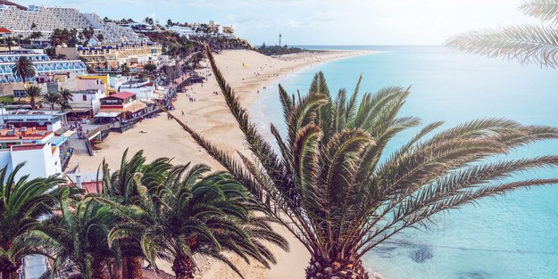 Gibt es auf Fuerteventura Haie? Das sollten Touristen wissen