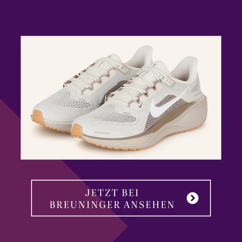 &#x20;Pegasus&#x20;41