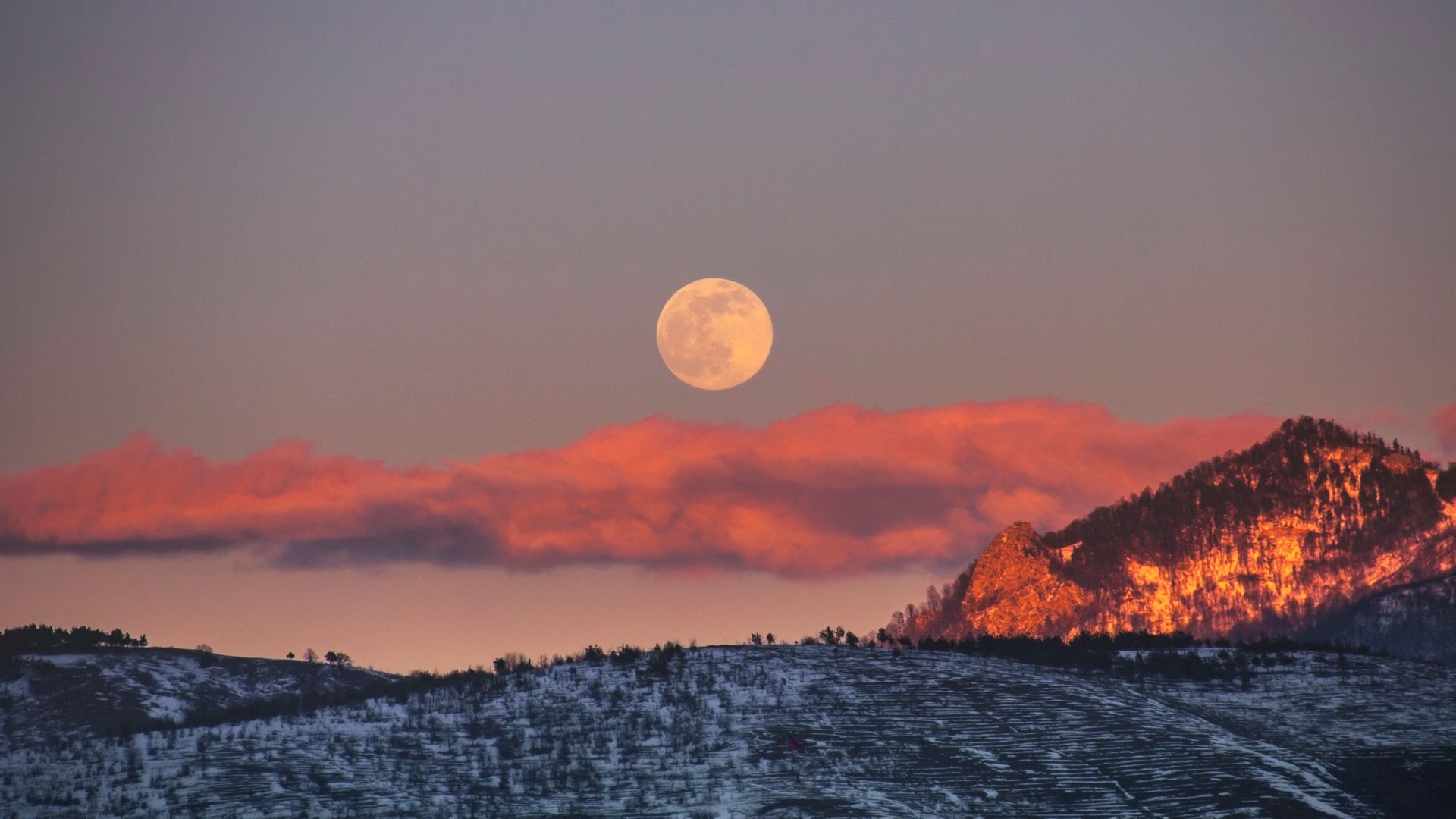 Vollmond Am 9 August Bereite Dich Vor Diese Sternzeichen Erleben Jetzt Die Mega Veränderung - 7rdkpp1