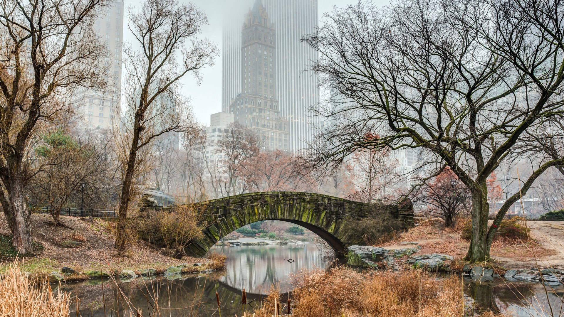 In diesem Thriller von Harlan Coben riskiert ein Vater alles, um seine
