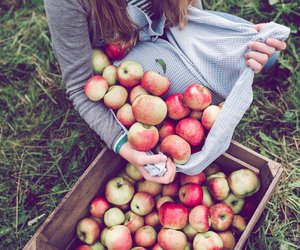 Wohin mit den ganzen Äpfeln? Die besten Rezepte, um sie lange haltbar zu machen!