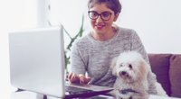 5 Gründe, warum Hunde im Büro alles besser machen