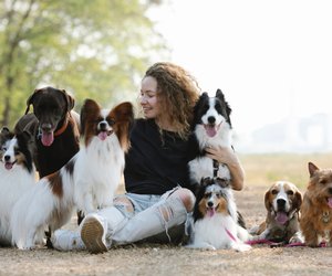 Mit diesen Ideen wird der Herbst mit deinem Hund schön