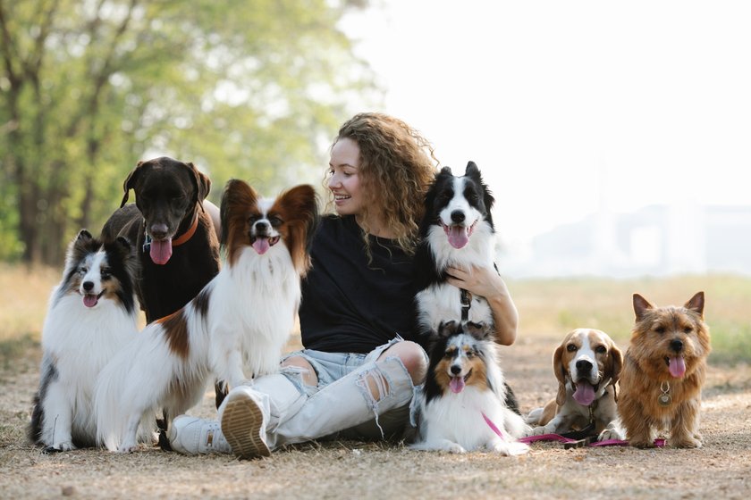 Wie oft Hunde gefüttert werden trägt auch zu ihrem Wohlbefinden bei