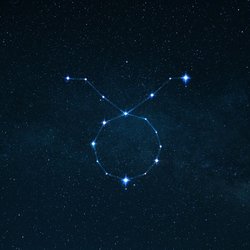 Venus im Stier: Was das bedeutet und wie du diese Energie für dich nutzen kannst
