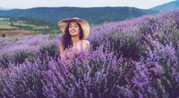 Bedeutung von Lavendel: Wofür steht die wohlduftende Pflanz