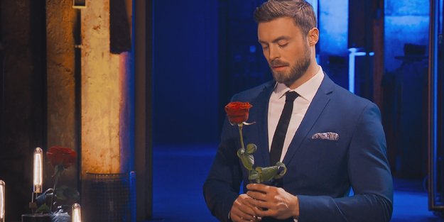 Schock im Halbfinale: Bachelor Niko bereut Rauswurf einer Kandidatin sofort!