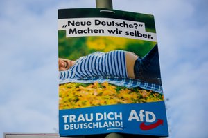afd familienpolitik afd familienpolitik