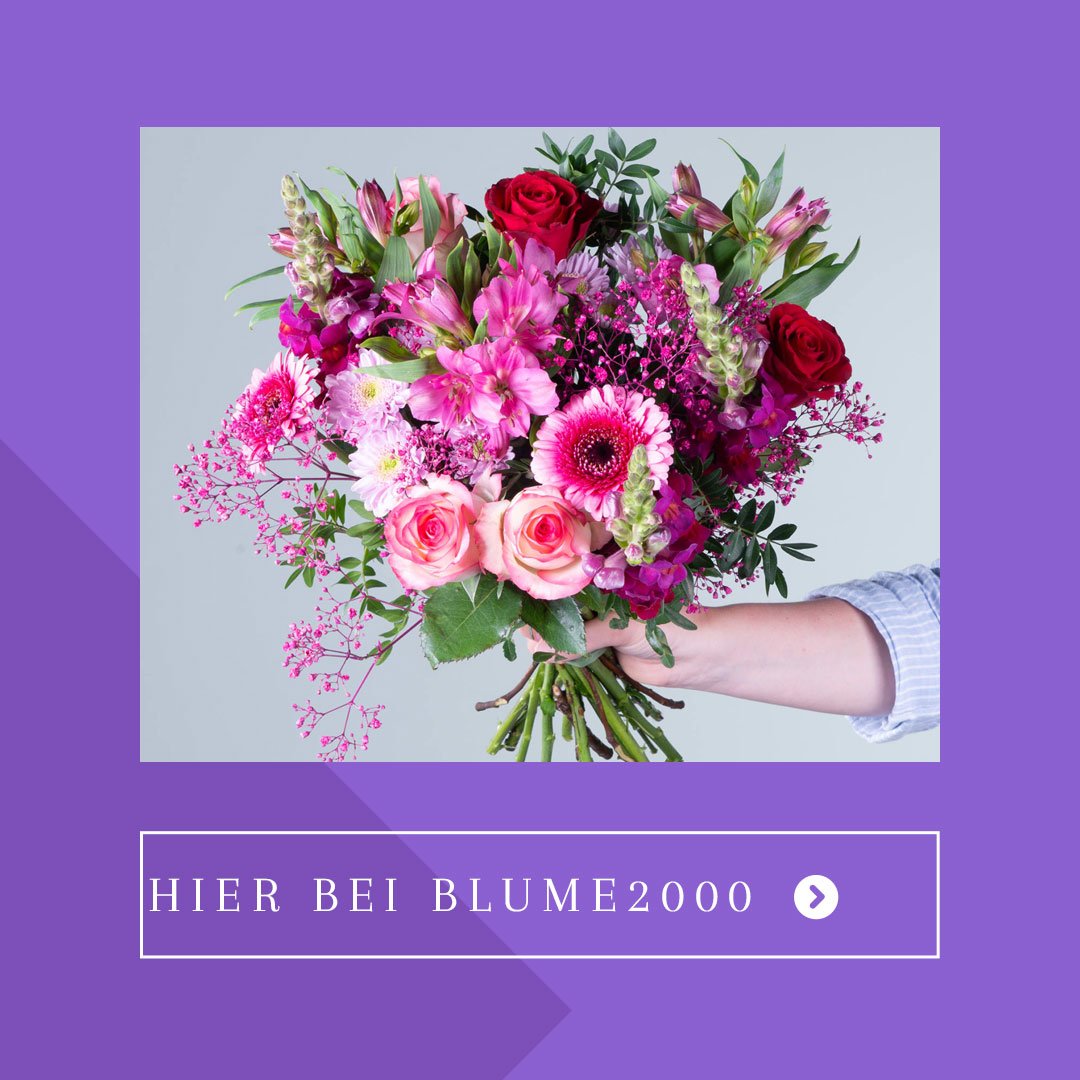 Blumen verschicken Die besten Angebote zum Muttertag
