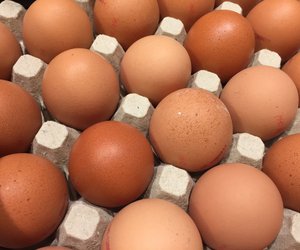 Rückruf bei Aldi & Co.: Salmonellen in Bio-Eiern