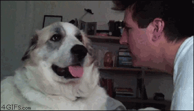 Dog Slap Dog Slap