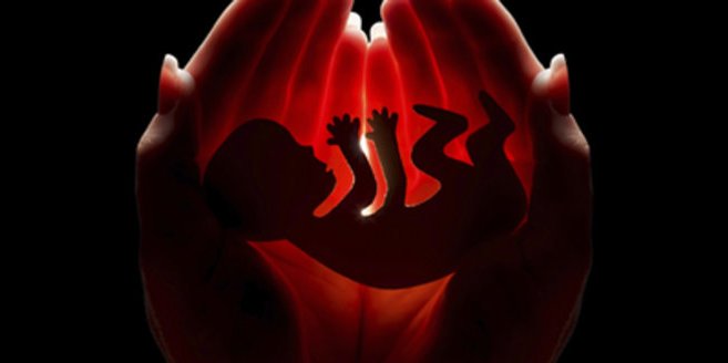 Schwangerschaftsabbruch: Baby in den Händen seiner Mutter. Schwangerschaftsabbruch: Baby in den Händen seiner Mutter.