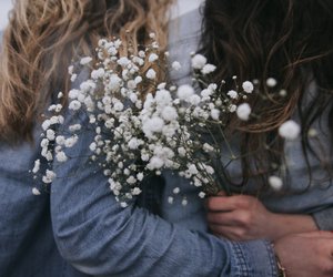 Schleierkraut Bedeutung: Welche Bedeutung hat die zarte Blume?