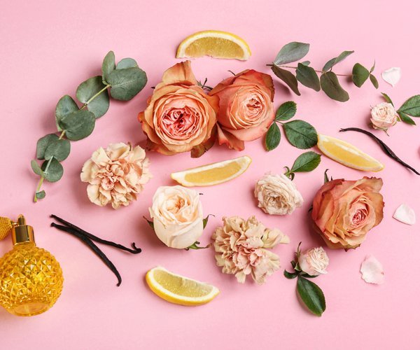 Dieses Feuchtigkeitsspray von Rossmann ist die perfekte Auffrischung