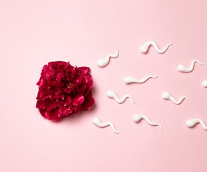 Insemination: Wie hoch ist der Eigenanteil & was zahlt die Kasse?